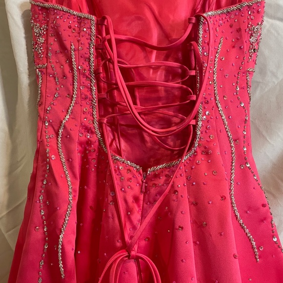 Caché Pink Princess Tie Back Gown - Picture 3 of 6